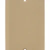 Faceplate Tapa Ciega Beige 60 und Marca Adler